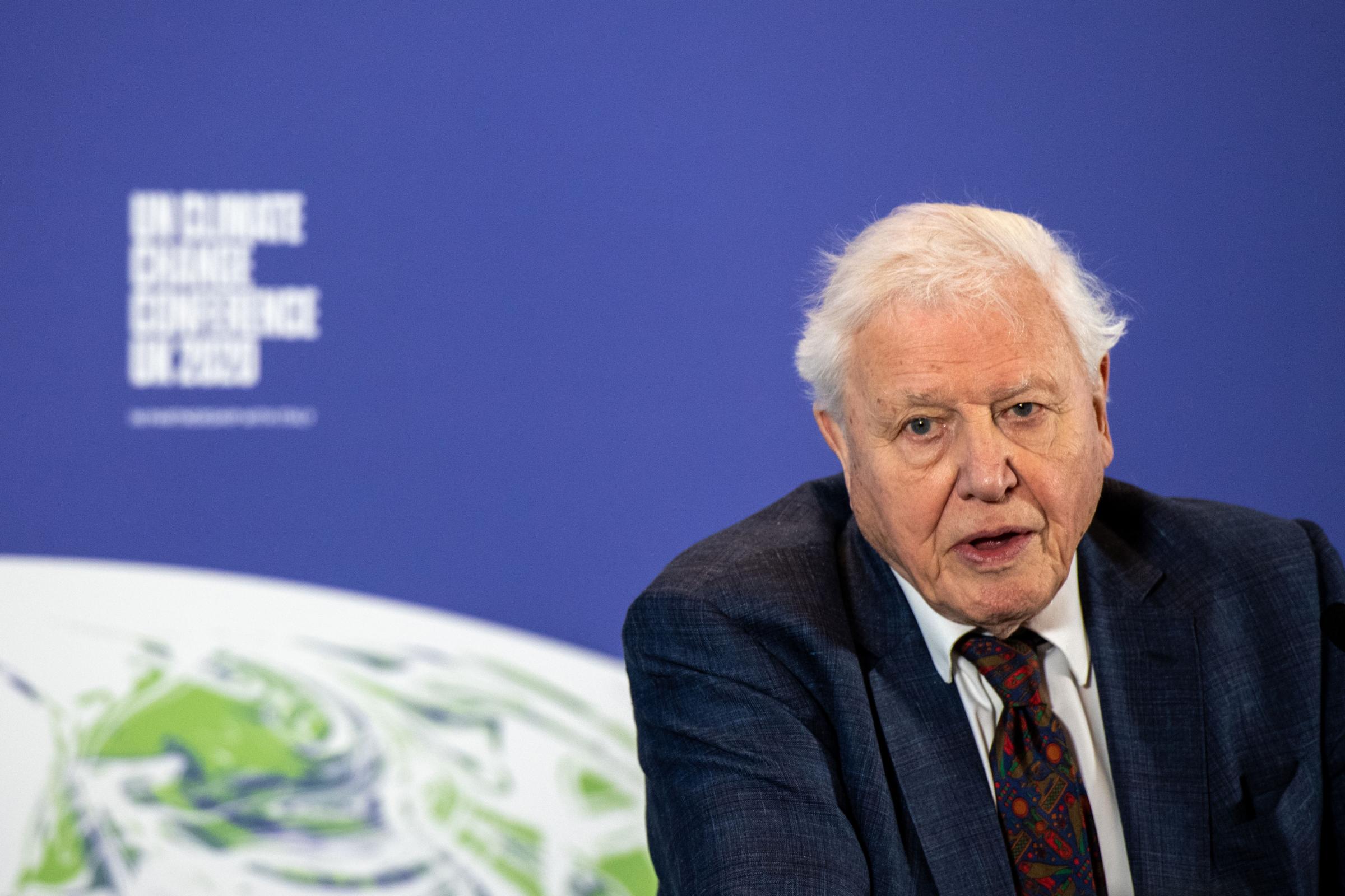 David Attenborough Delivering A Speech At COP26 Climate Summit